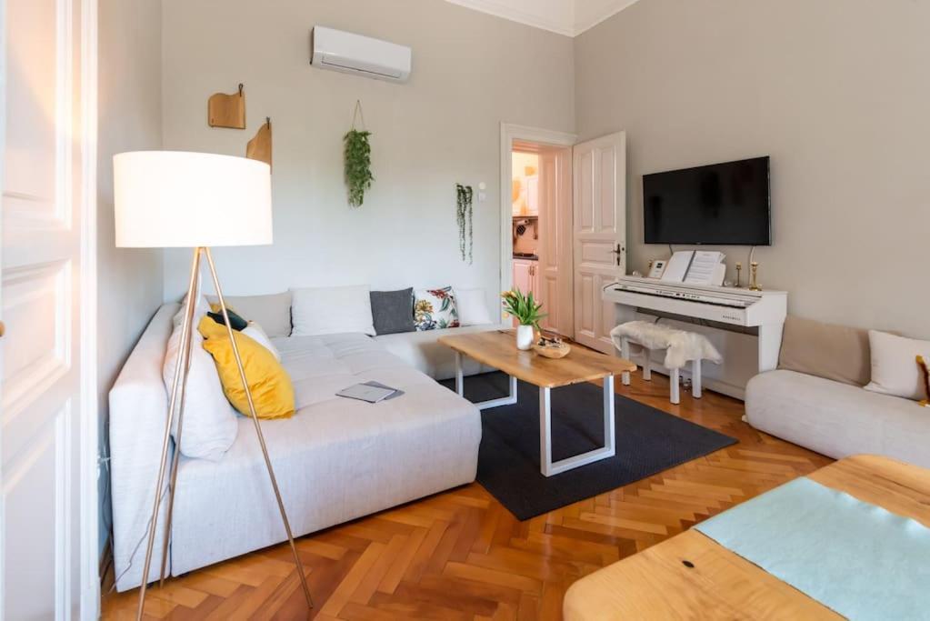 No.8: Lovely & Cosy 3-Room Heart Of The City Timişoara Eksteriør bilde
