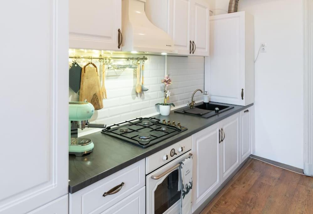 No.8: Lovely & Cosy 3-Room Heart Of The City Timişoara Eksteriør bilde