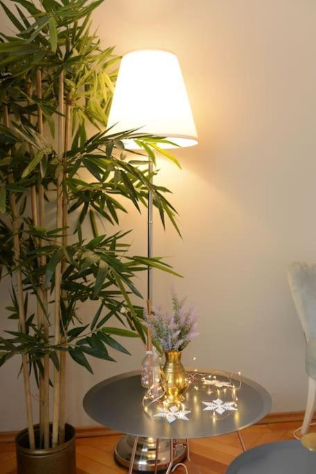 No.8: Lovely & Cosy 3-Room Heart Of The City Timişoara Eksteriør bilde